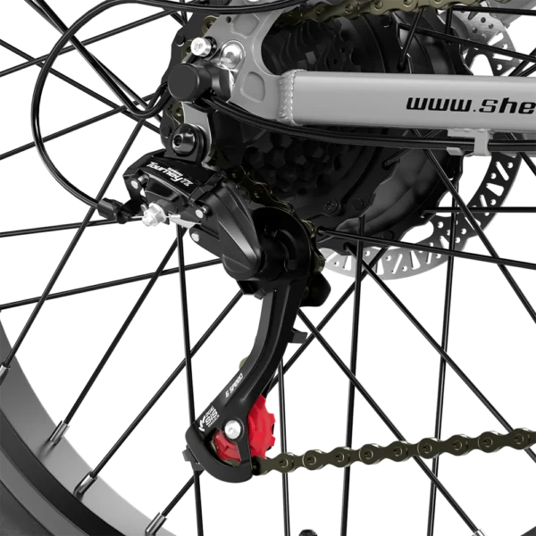 DÉRAILLEUR