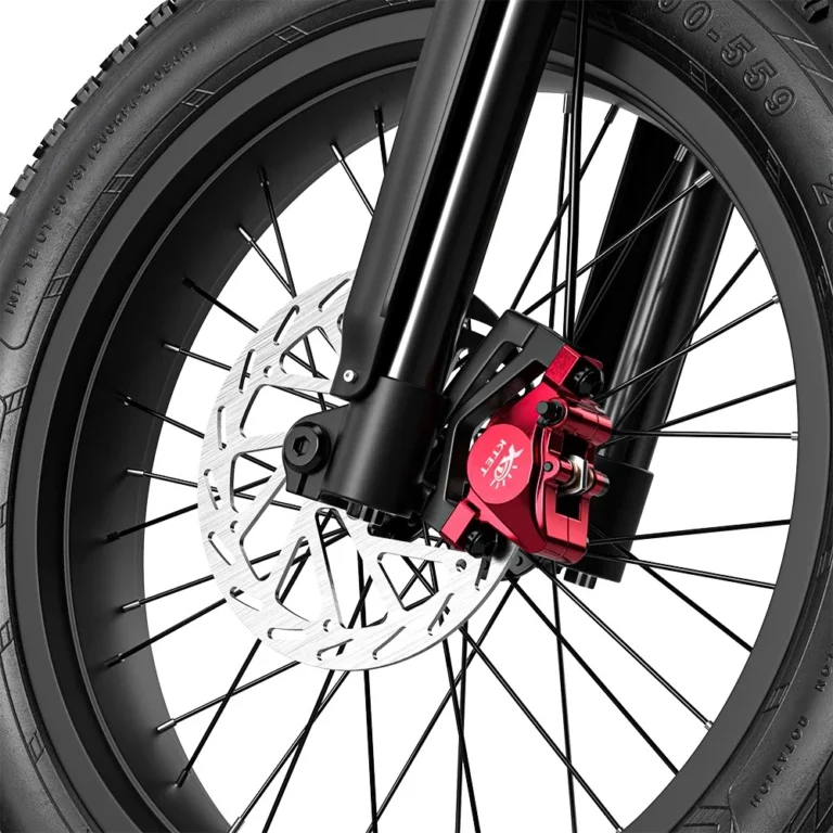 Roues à rayons Shengmilo S900