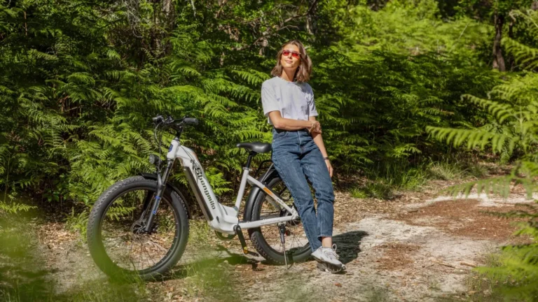 Shengmilo MX06 E-Bike