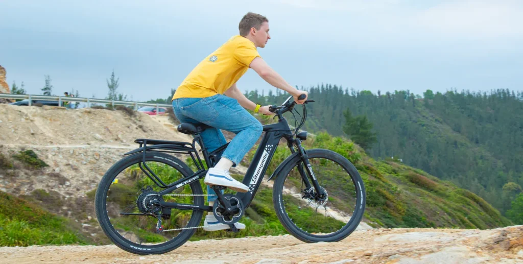 Shengmilo Ebike
