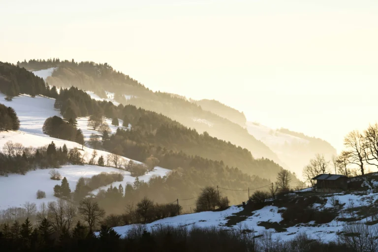 Scène française sous la neige