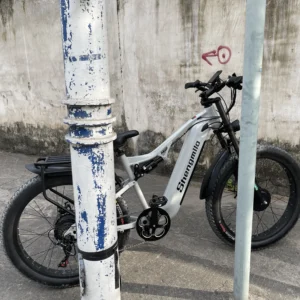 Shengmilo S600 velo electrique pour sortie longue en debut d ete en France