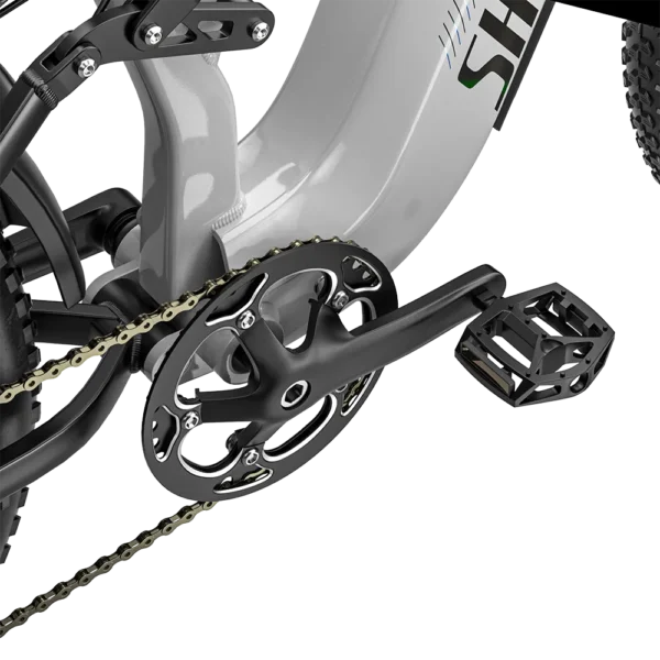 Crankset en alliage du vélo S600Pro garantissant efficacité et robustesse